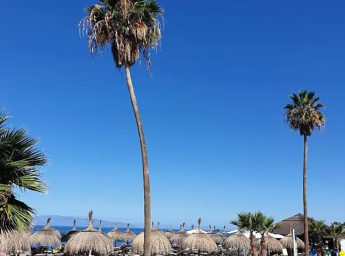 Mareverde 2h8 * Costa Adeje (Tenerife)